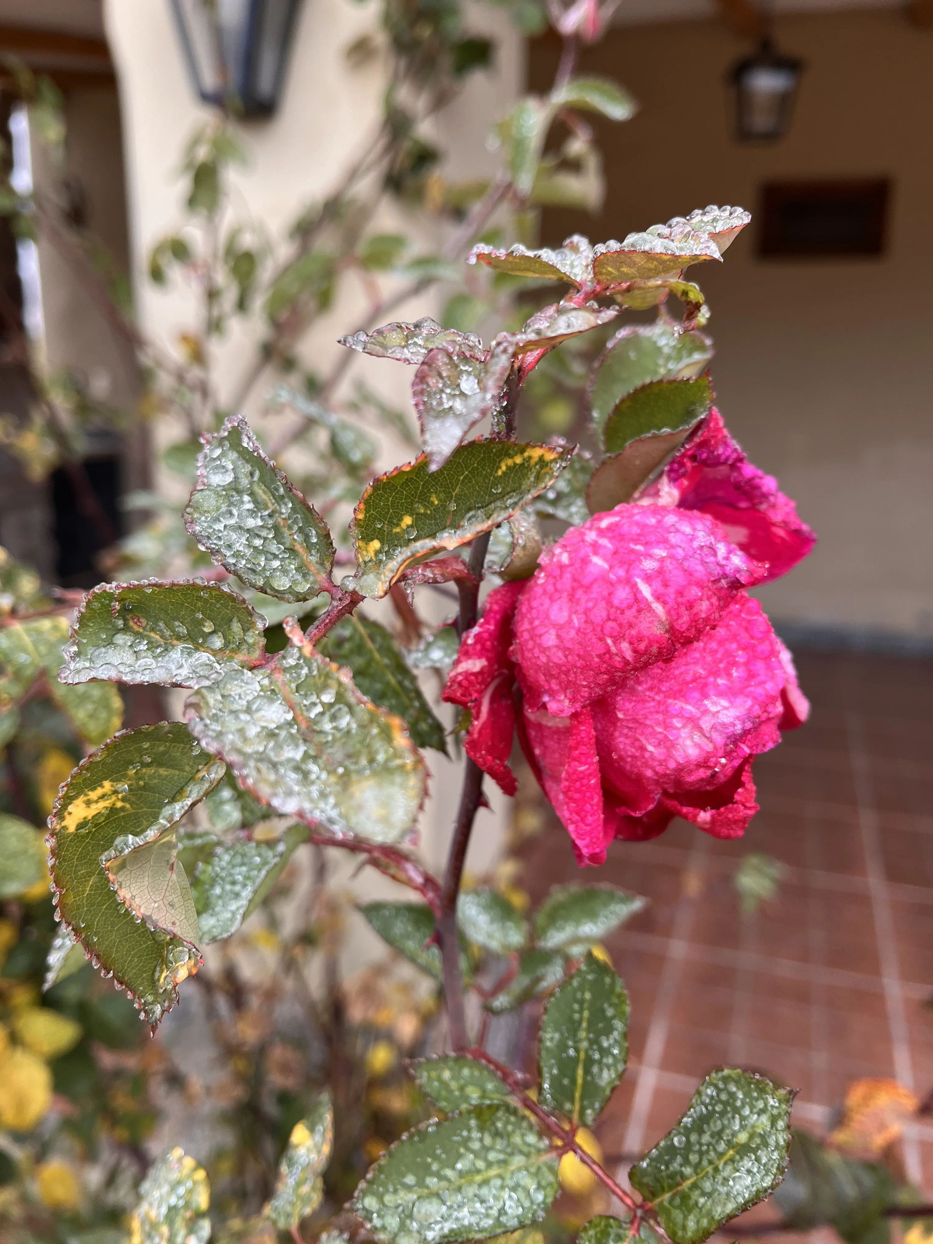 Experiencia en Quinta del Valle